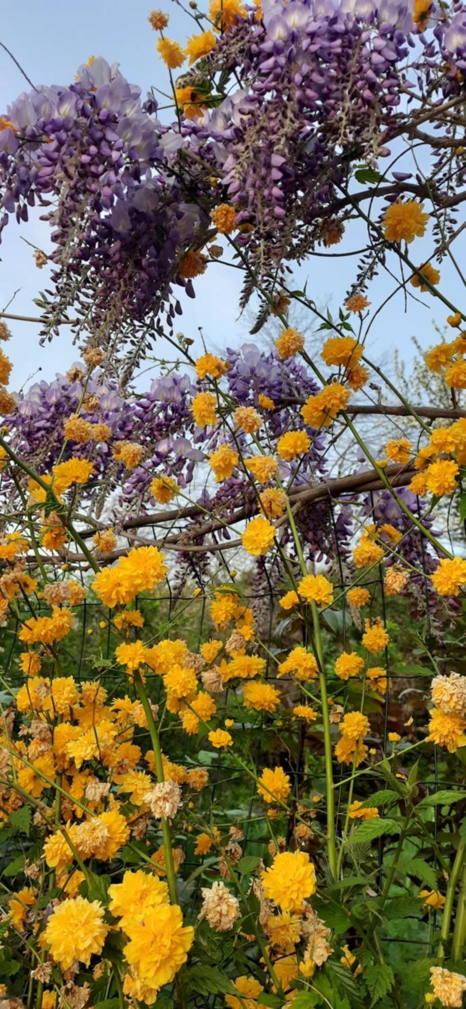 Il Giardino Del Gallo Cherasco Bagian luar foto