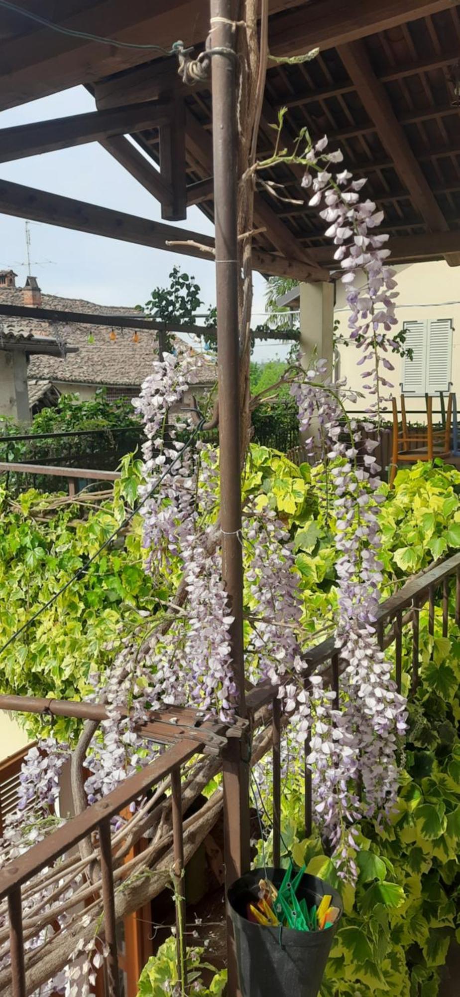Il Giardino Del Gallo Cherasco Bagian luar foto