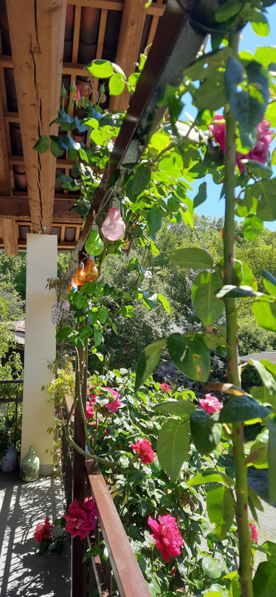 Il Giardino Del Gallo Cherasco Bagian luar foto